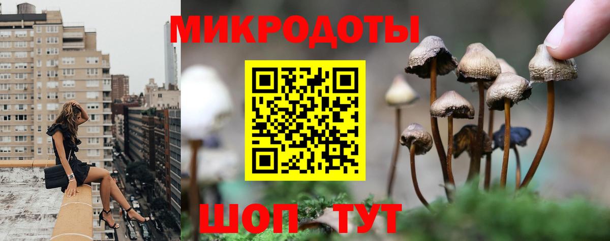 Краснокамск  Псилоцибиновые грибы Cubensis  Вход с VPN 